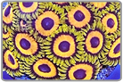 Jungle Juice Zoanthids